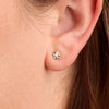 Tiny Star Stud Earrings in 18k White Gold